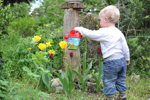 Mit Kindern die Magie des Gartens entdecken: Inspirationen für jede Jahreszeit!